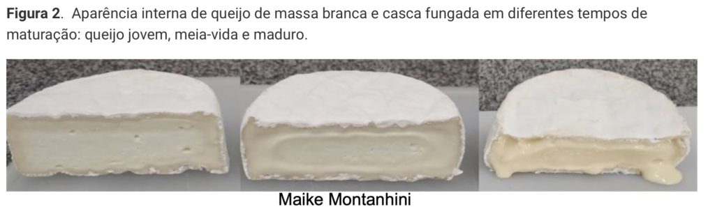 Roquefort e gorgonzola: diferenças e semelhanças entre os queijos