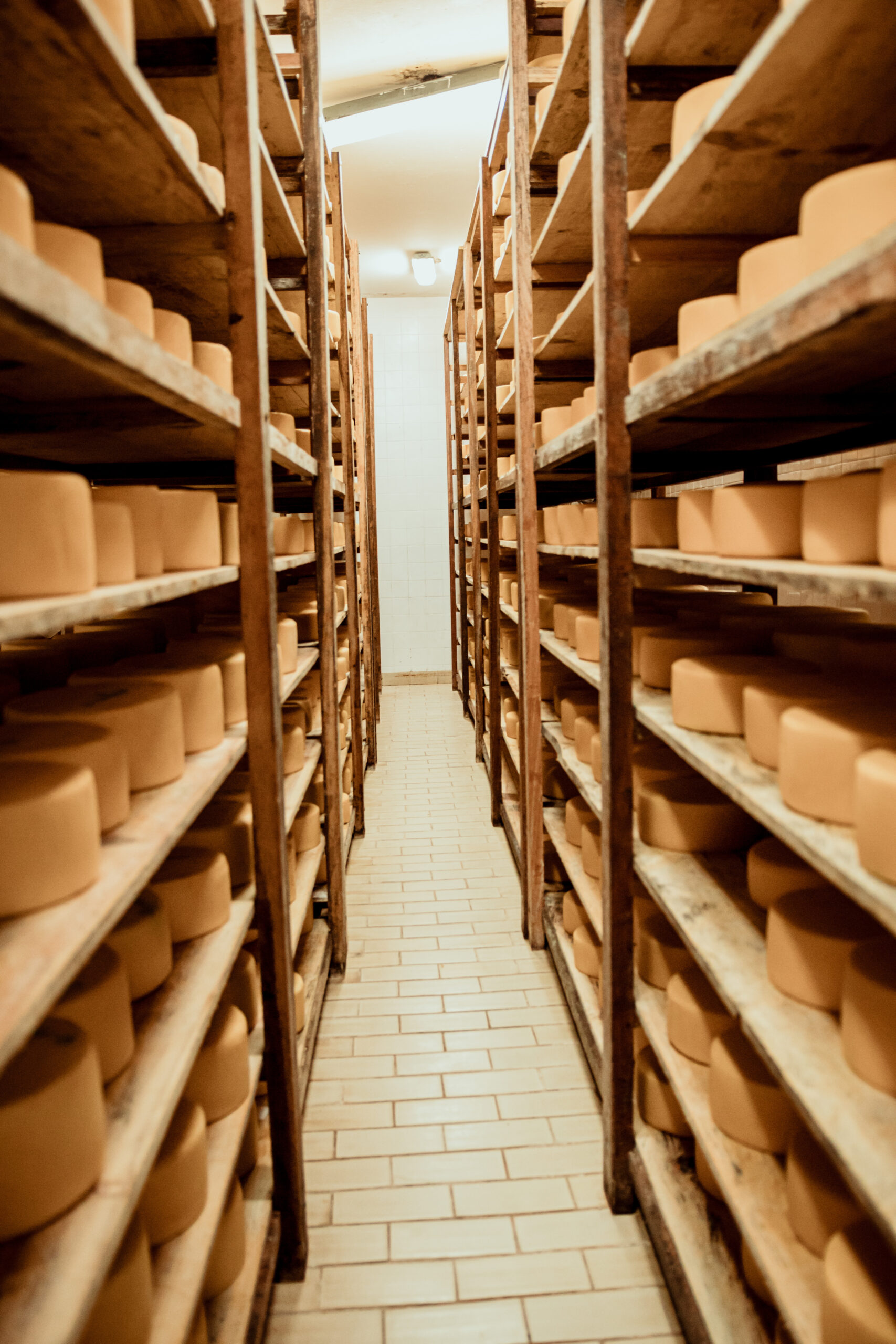 Madeira na maturação de queijos